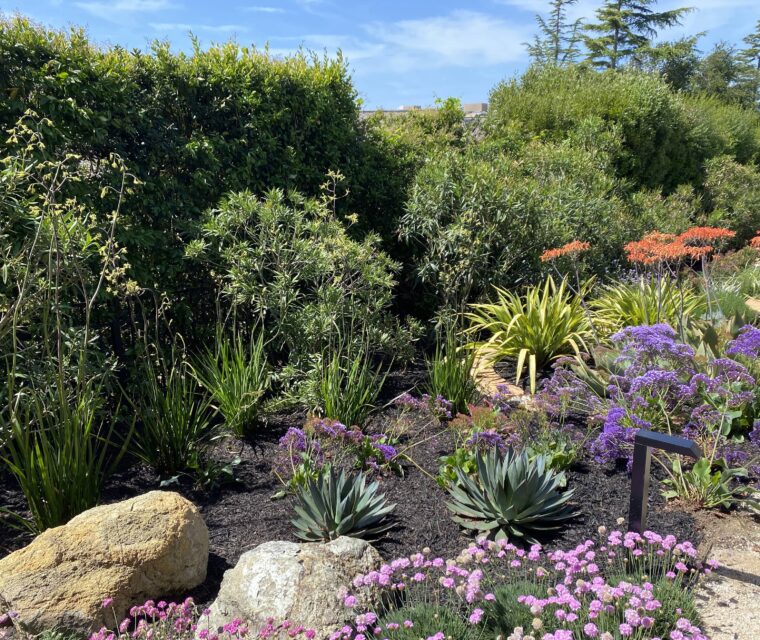 Landscape Design in California