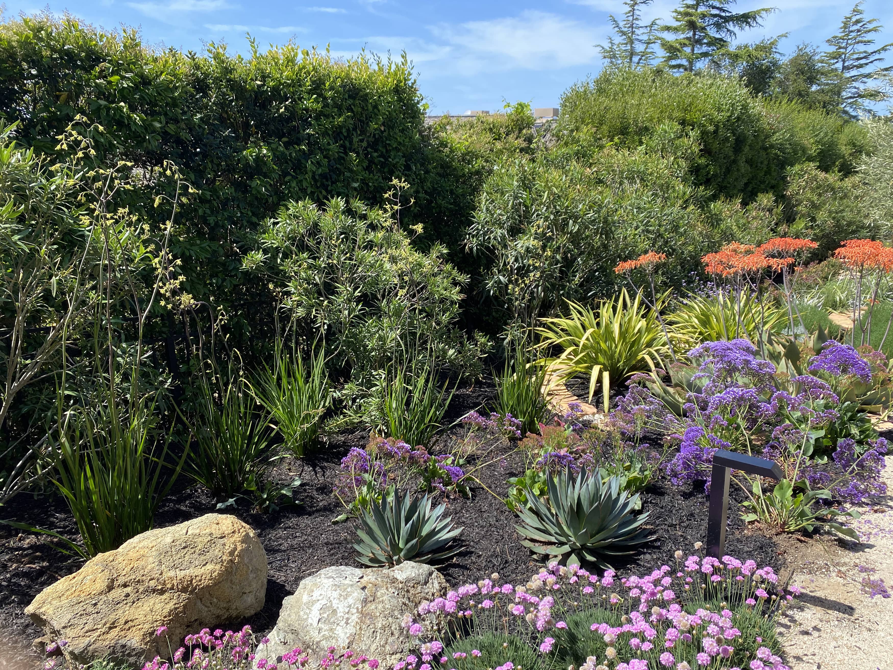 Landscape Design in California