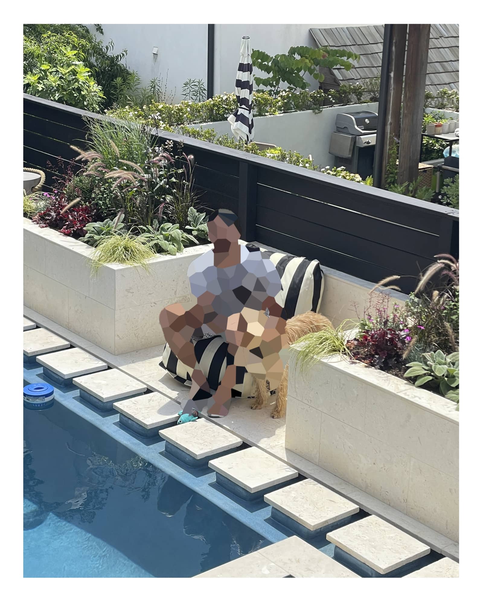 Pool Design in Fairburn Suburb